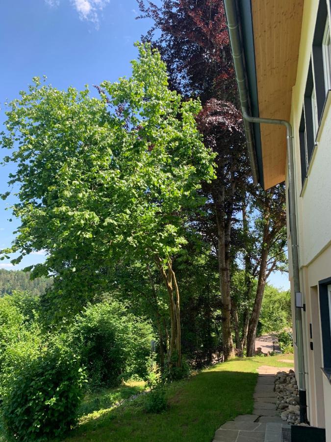 Moderne Wohnung Im Gruenen Mit Privatem Garten Донаушинген Екстериор снимка